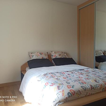 Super Appartement Avec Terasse Bischheim Exterior photo